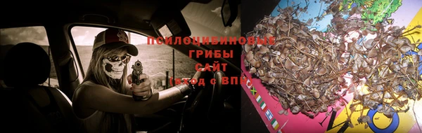 спиды Абаза