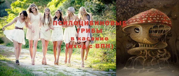 спиды Абаза