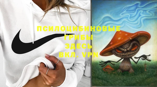 ешки Абинск