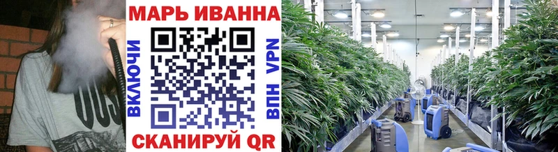 наркота  Шумерля  Конопля THC 21% 
